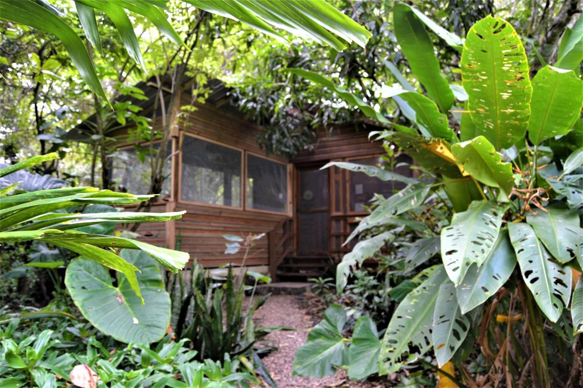 Iguana Roost Tourism Gold Standard Fully Equipped Two Bedroom Cabin San Ignacio Exteriér fotografie