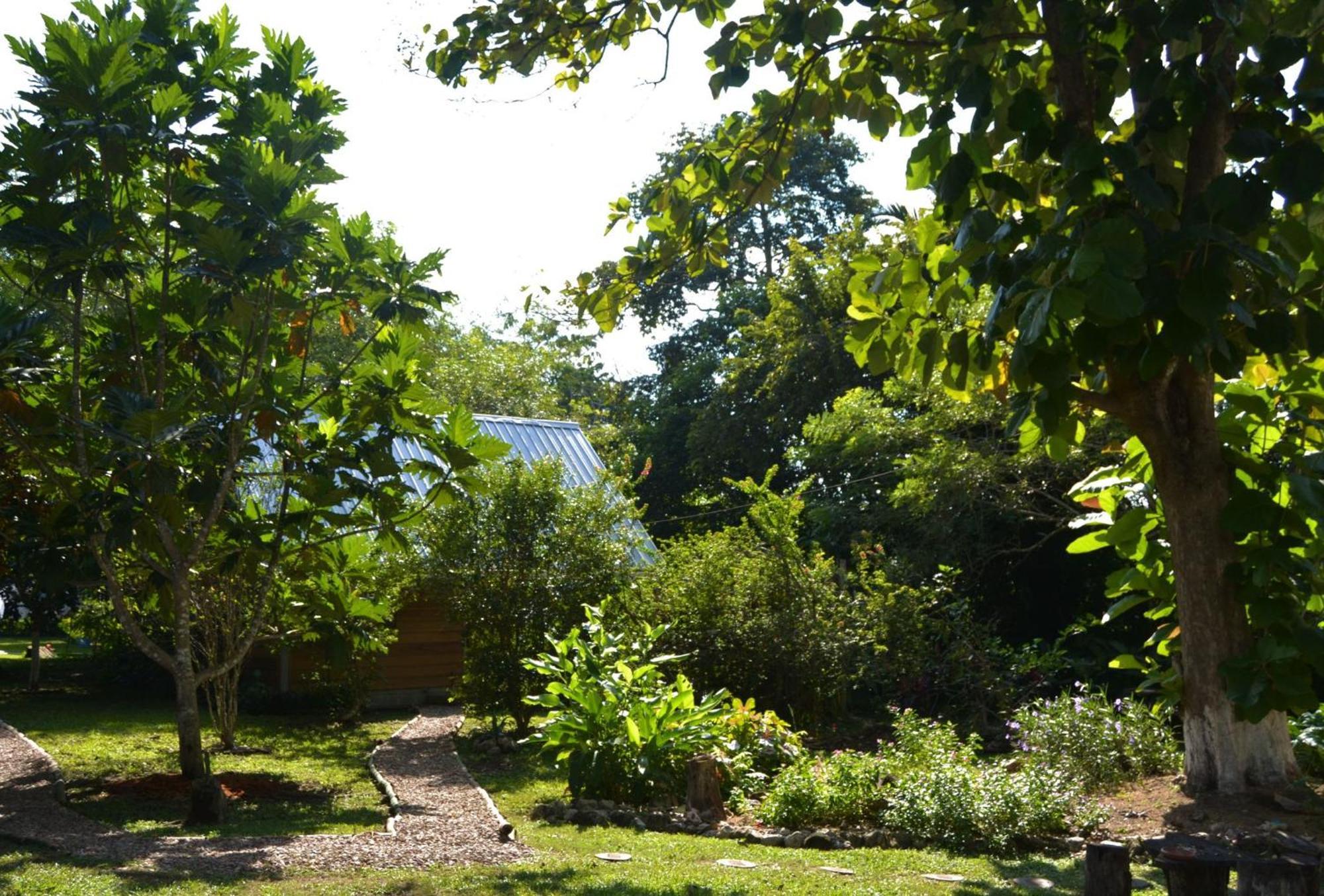 Iguana Roost Tourism Gold Standard Fully Equipped Two Bedroom Cabin San Ignacio Exteriér fotografie