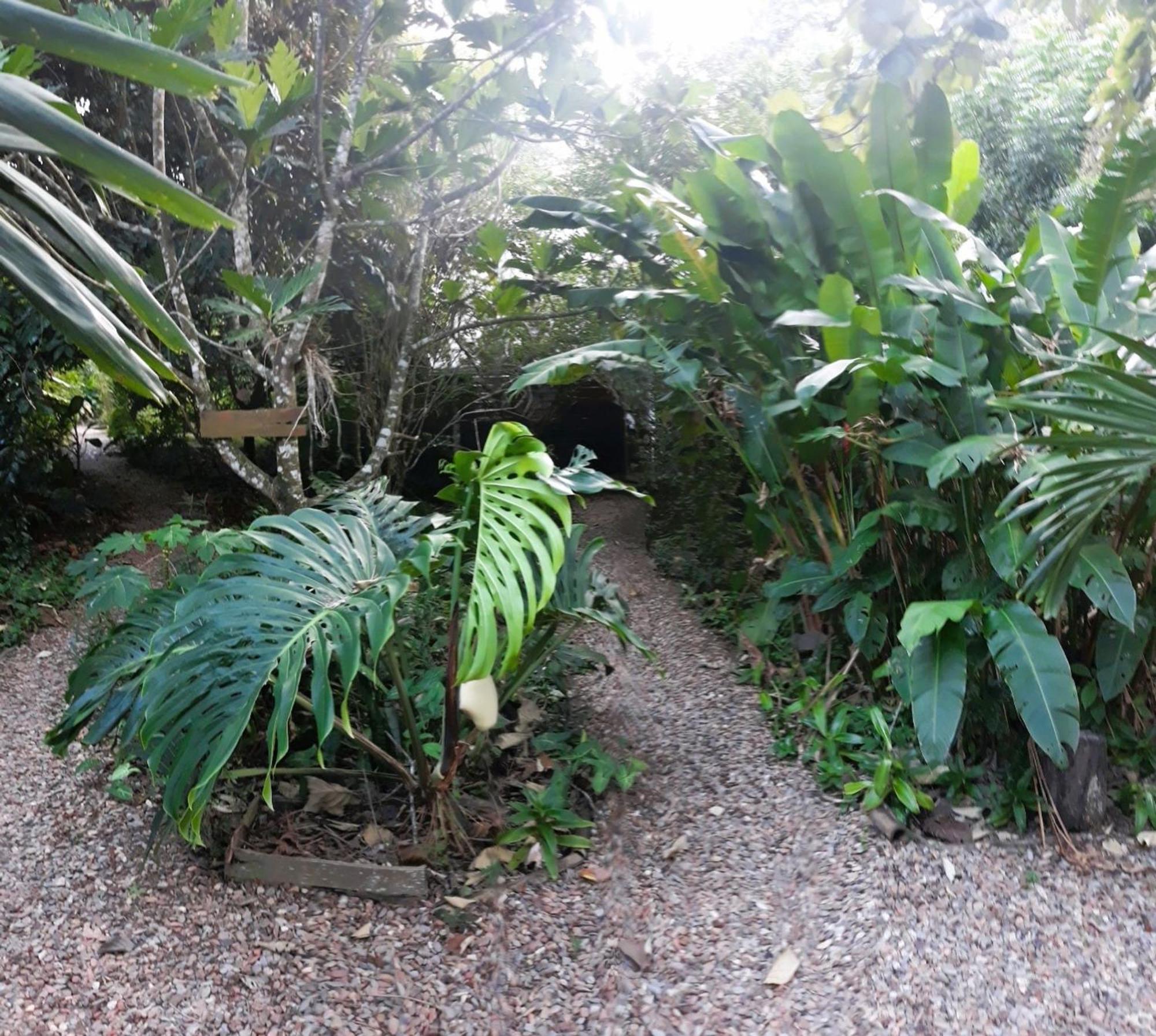 Iguana Roost Tourism Gold Standard Fully Equipped Two Bedroom Cabin San Ignacio Exteriér fotografie